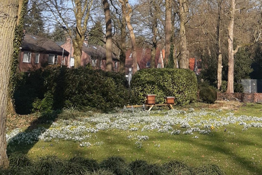 Bijenkasten Rozenhof 04 03 2025